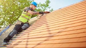 Best Rubber Roofing (EPDM, TPO)  in New Egypt, NJ