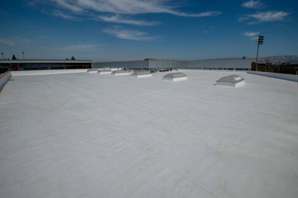 Best Solar Panel Roofing Installation  in New Egypt, NJ