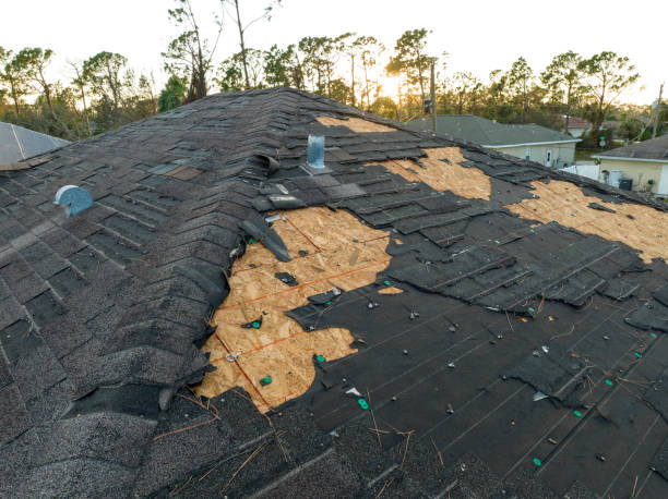  New Egypt, NJ Roofing Pros