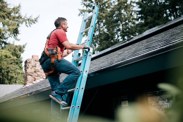 Best Roof Leak Repair  in New Egypt, NJ