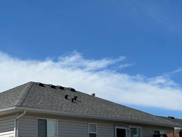 Best Commercial Roofing Services  in New Egypt, NJ